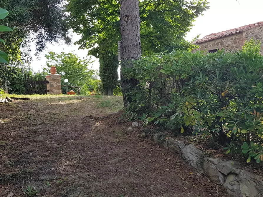 Immagine 37 di Porzione di casa in vendita  in Località Poggio Rosa 15 a Castiglione D'orcia