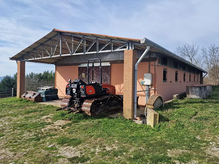 Immagine 68 di Rustico / casale in vendita  in Via del Conventaccio a Ficulle