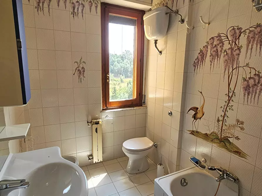 Immagine 28 di Quadrilocale in vendita  in Via Piero Gobetti 83 a Chiusi