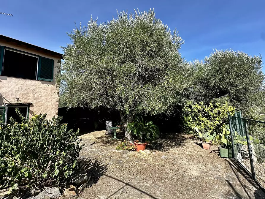 Immagine 4 di Rustico / casale in vendita  in Via Madonna Della Neve a Diano Castello