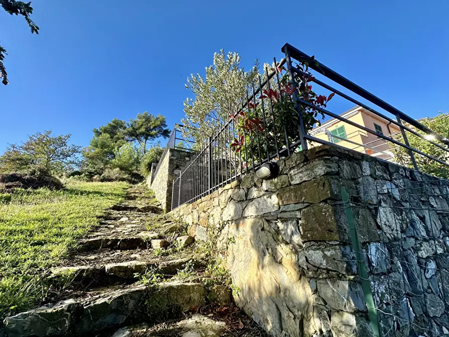 Immagine 26 di Trilocale in vendita  in Borgata Ascheri 15 a Diano Arentino