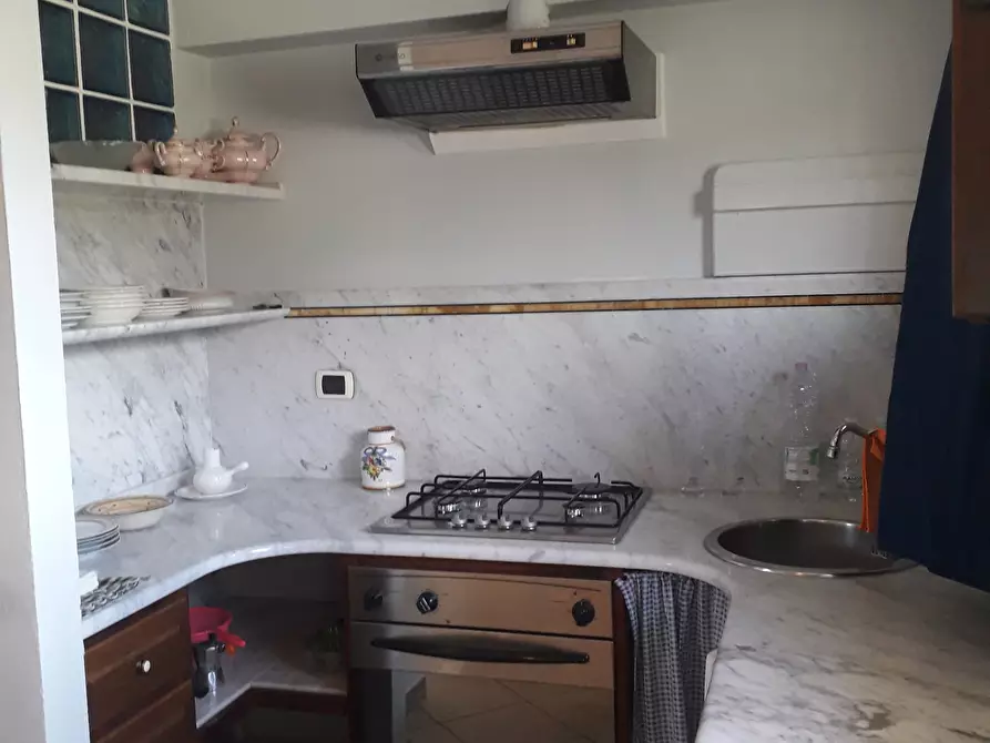 Immagine 1 di Monolocale in affitto  a Pietrasanta