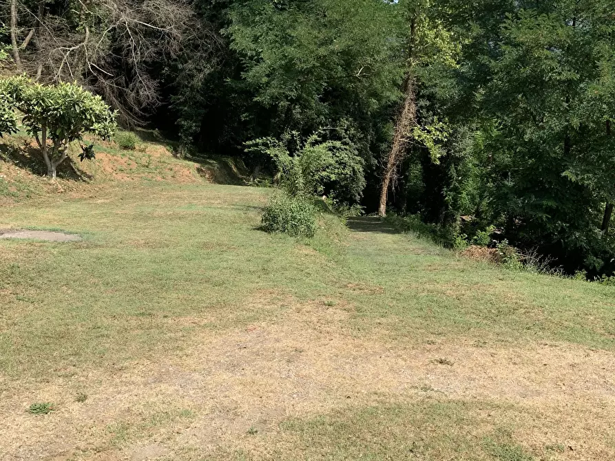 Immagine 39 di Rustico / casale in vendita  a Camaiore