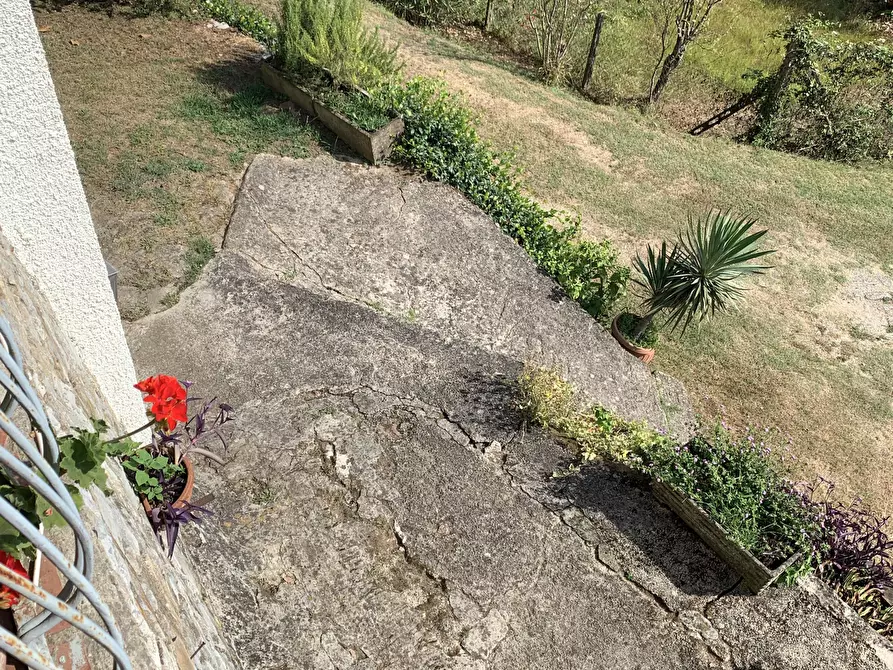 Immagine 12 di Rustico / casale in vendita  a Camaiore