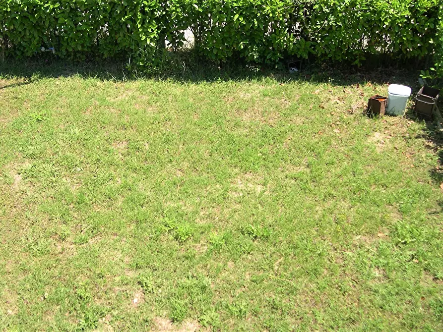 Immagine 13 di Terratetto in vendita  in VIA MURATA a San Vito Chietino