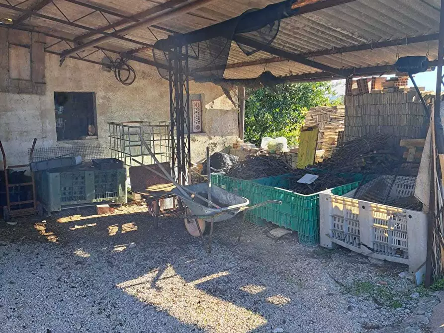 Immagine 48 di Rustico / casale in vendita  in via colle della fonte 94 a Frisa