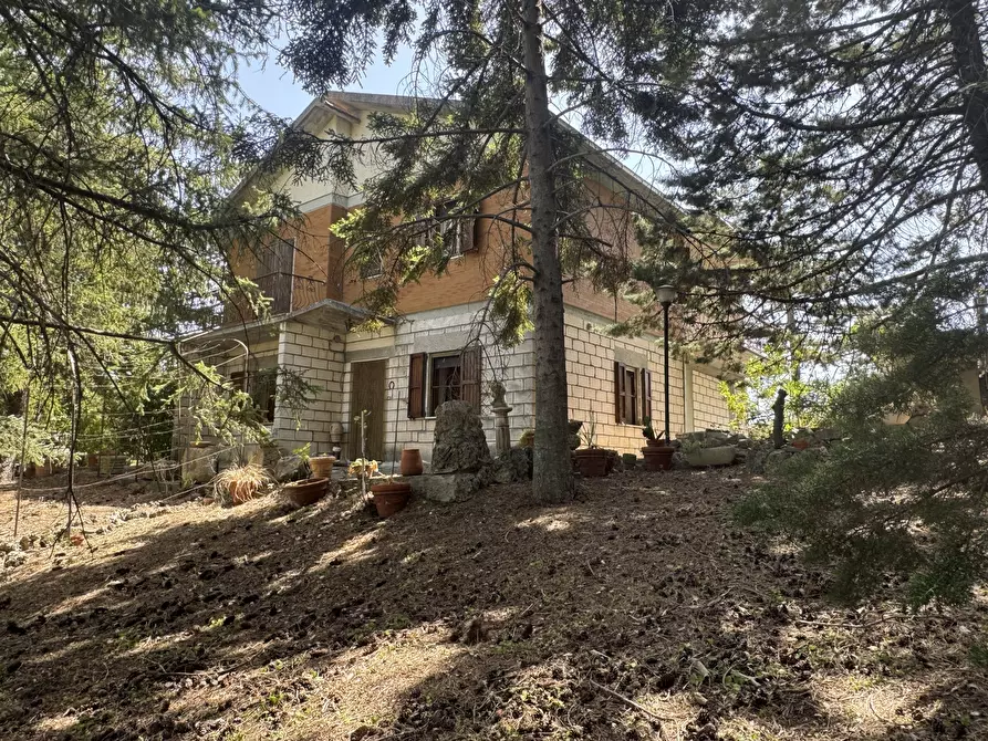 Immagine 29 di Villa in vendita  in Via Peligna 27 a Gessopalena