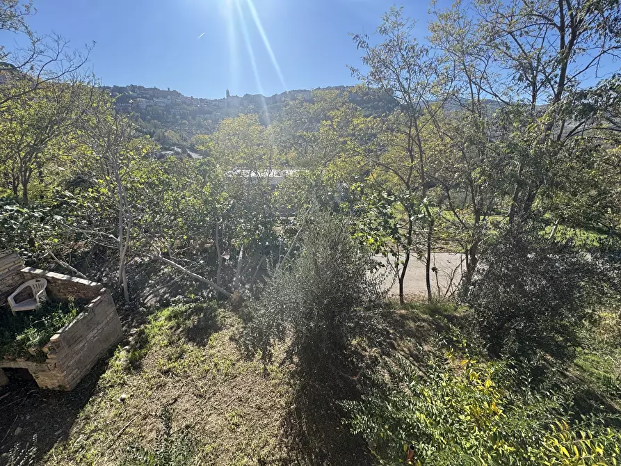 Immagine 26 di Rustico / casale in vendita  a Atessa
