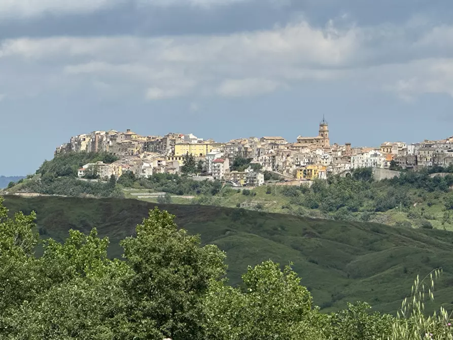 Immagine 3 di Casa indipendente in vendita  in torricchio a Tornareccio