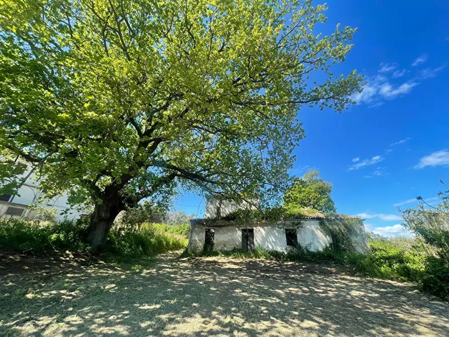 Immagine 4 di Casa indipendente in vendita  in contrada ranco 55 a Paglieta