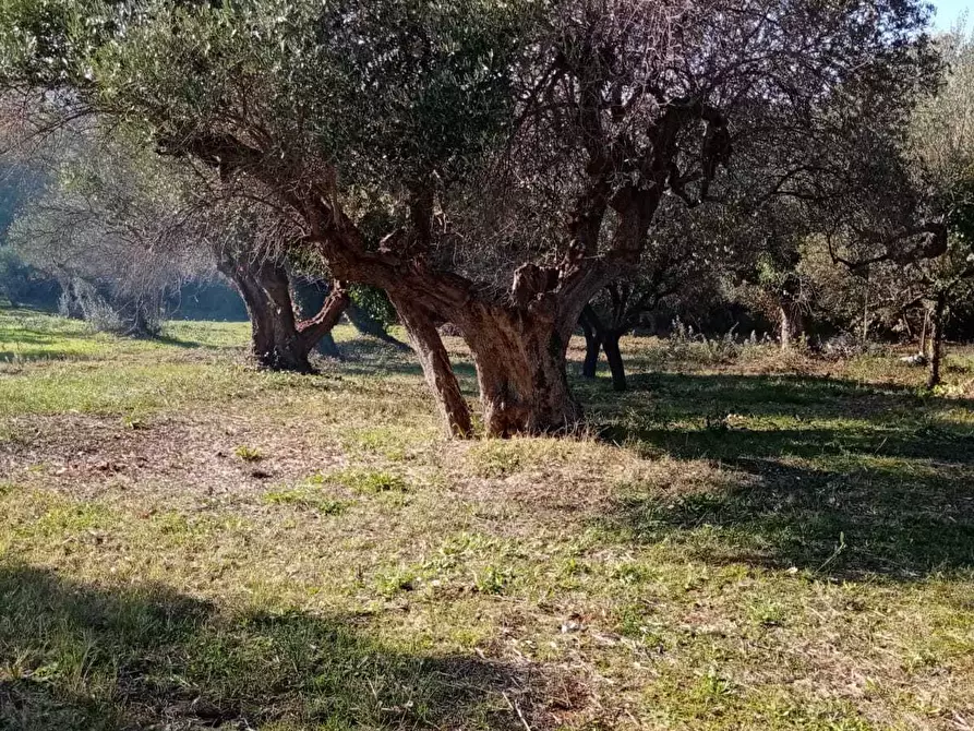 Immagine 2 di Casa indipendente in vendita  in STRADA PROVINCIALE a Rocca San Giovanni