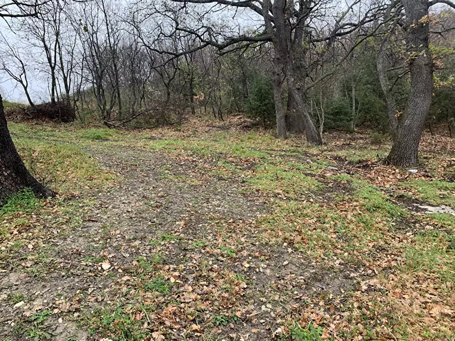 Immagine 24 di Casa semindipendente in vendita  a Gessopalena
