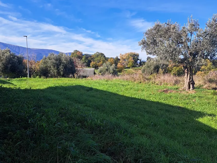Immagine 19 di Attività artigianale in affitto  in SS538 a Orsogna
