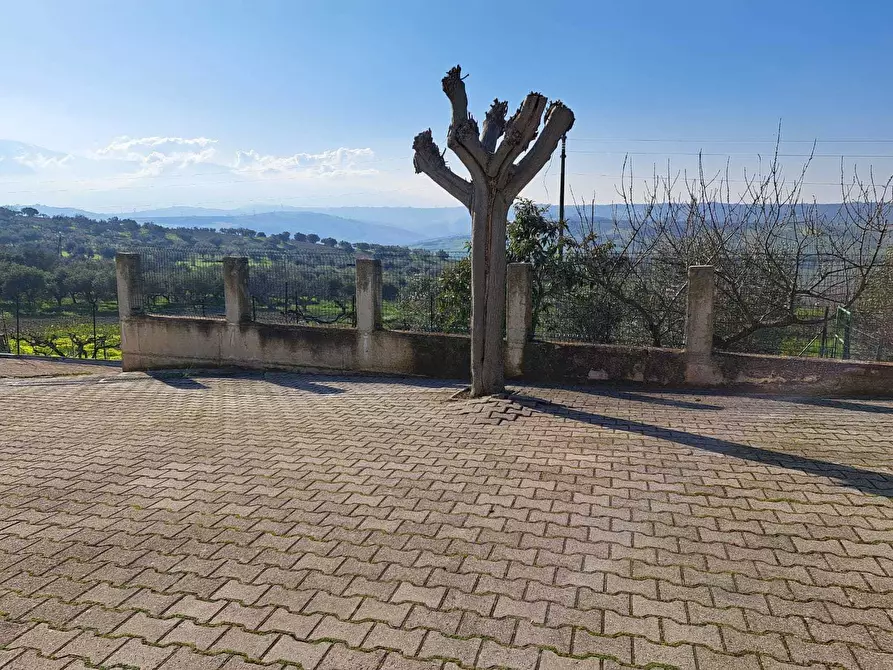 Immagine 38 di Quadrilocale in vendita  in Via Moscete 31 a Castel Frentano