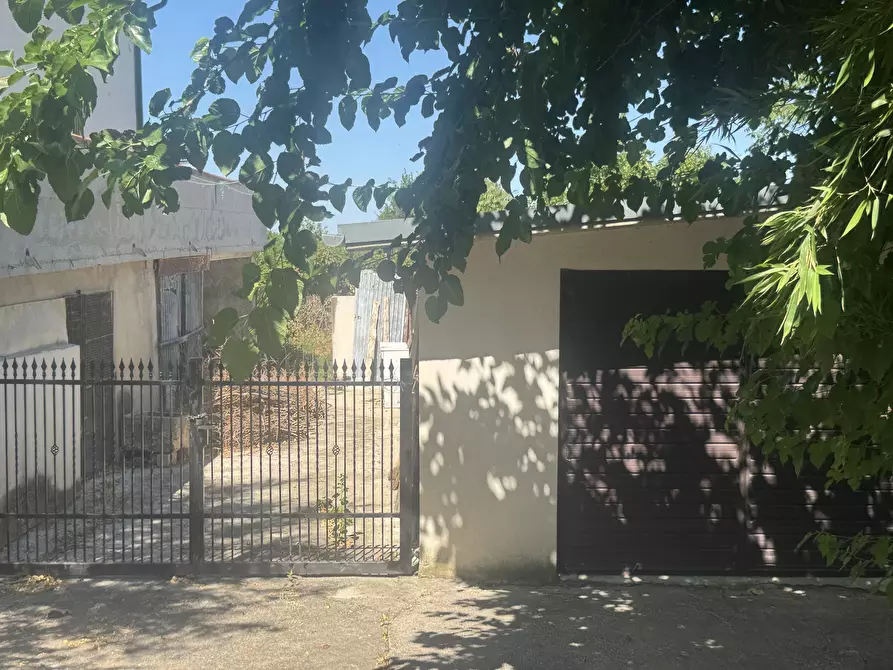 Immagine 34 di Casa indipendente in vendita  in torricchio a Tornareccio