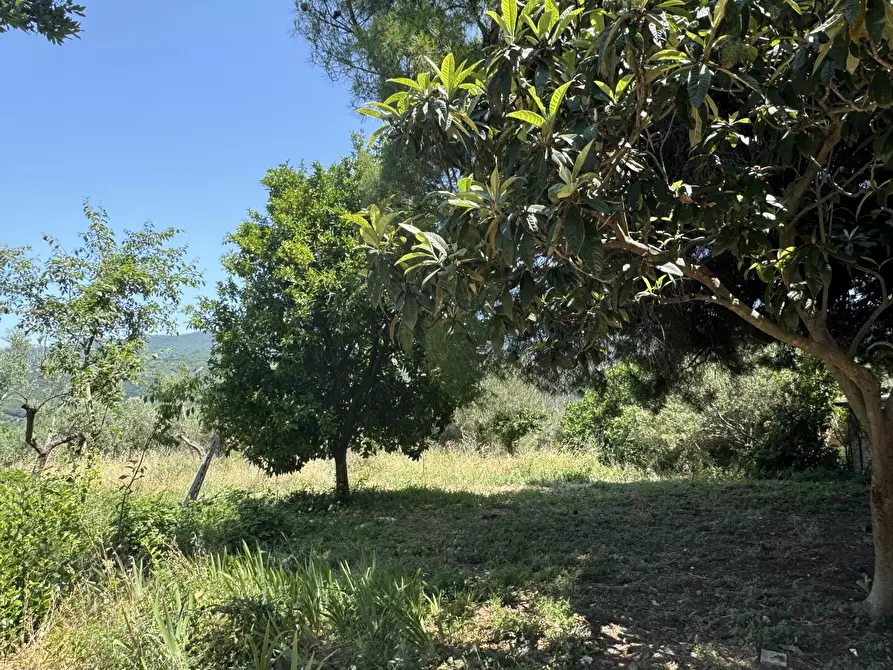 Immagine 58 di Casa semindipendente in vendita  in Via Lascianna 9 a Roccascalegna