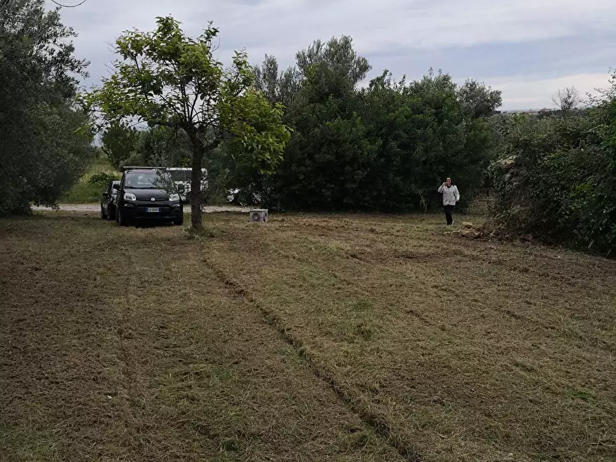 Immagine 17 di Terreno edificabile in vendita  in Via Puglianna a Treglio
