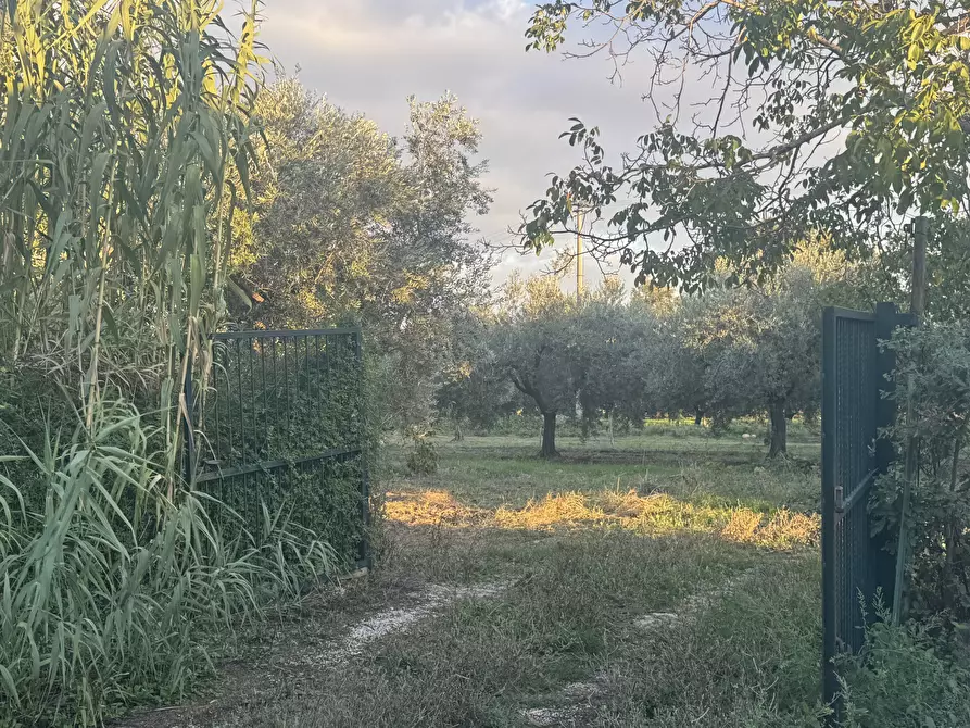 Immagine 38 di Rustico / casale in vendita  in Contrada Sant'Onofrio 121 a Lanciano