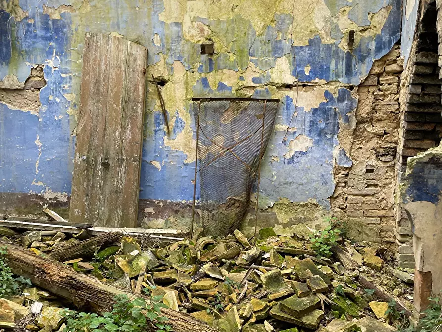 Immagine 30 di Rustico / casale in vendita  in C.DA CASTELLANA a Treglio