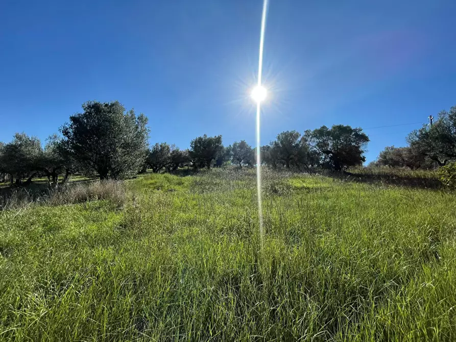 Immagine 6 di Casa indipendente in vendita  in contrada ranco 55 a Paglieta