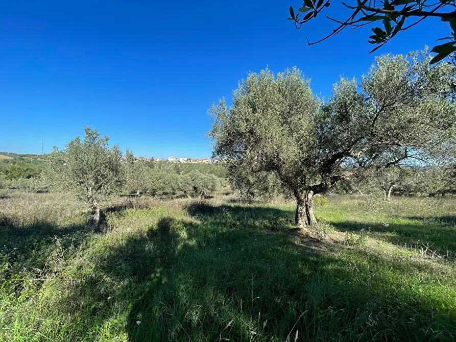 Immagine 10 di Casa indipendente in vendita  in contrada ranco 55 a Paglieta