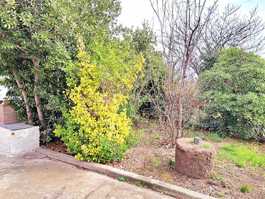 Immagine 34 di Rustico / casale in vendita  in Contrada da Cona 34 a San Vito Chietino