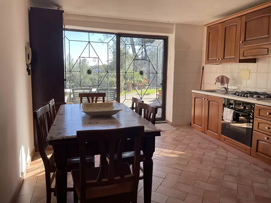 Immagine 17 di Villa in vendita  in via san giusto a Livorno