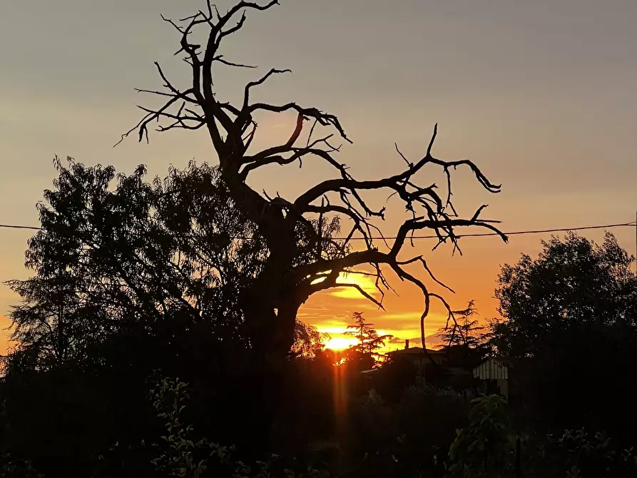 Immagine 44 di Villa in affitto  in Strada San Caterina 27 a Viterbo