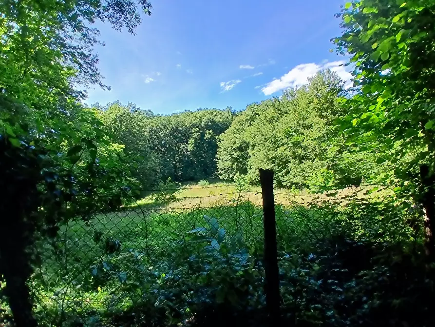Immagine 3 di Terreno agricolo in vendita  in Via delle Querce a Manziana