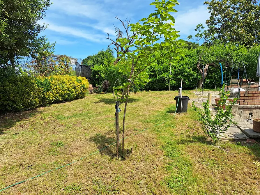 Immagine 18 di Trilocale in vendita  in Via Antonio Varisco 34 a Morlupo