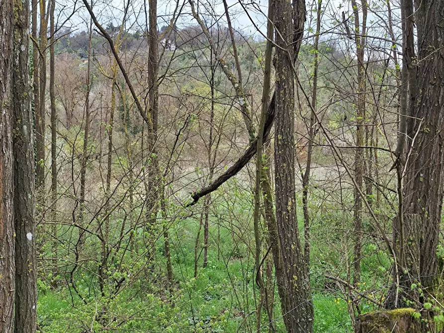Immagine 2 di Terreno agricolo in vendita  in Via della valle s.n.c a Morlupo