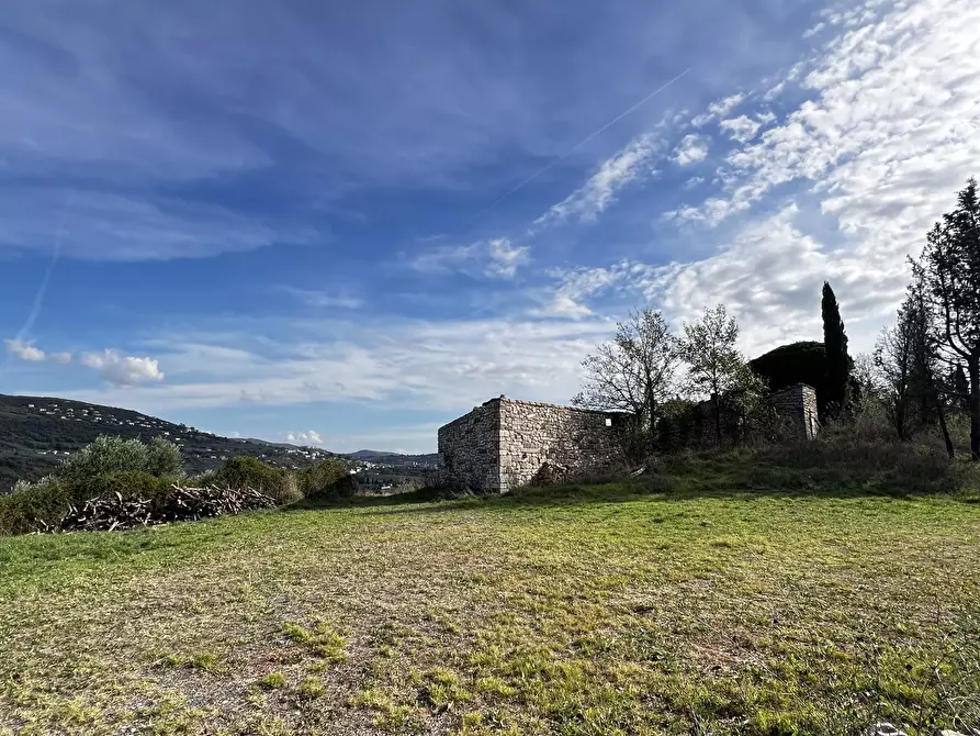 Immagine 99 di Rustico / casale in vendita  in Vocabolo Pupiglian 1 a Guardea