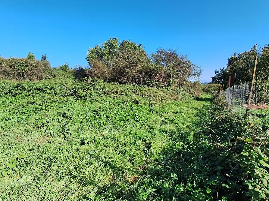 Immagine 1 di Terreno agricolo in vendita  in Via Doganella 9a a Morlupo