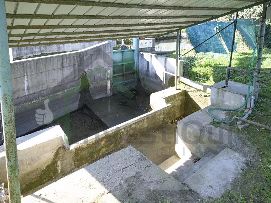 Immagine 36 di Quadrilocale in vendita  in Strada delle Rivette 3 a Nole