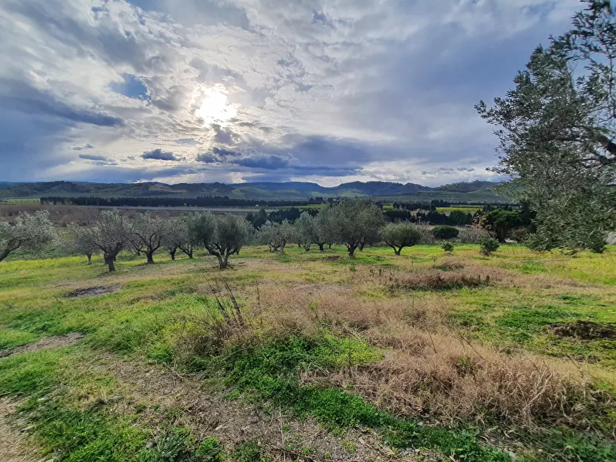 Immagine 3 di Terreno agricolo in vendita  a Catanzaro