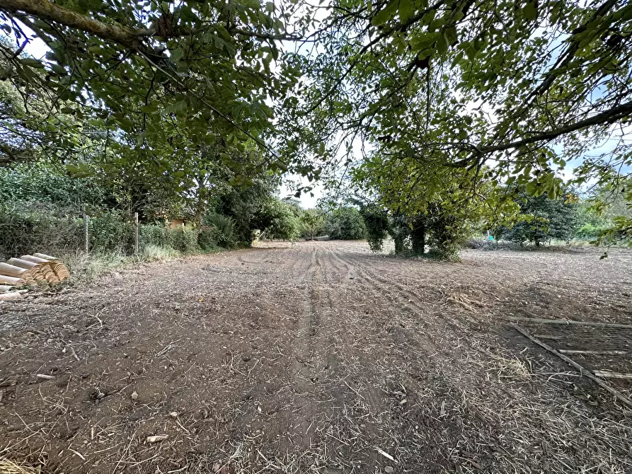 Immagine 1 di Terreno agricolo in vendita  in Via San Fantino a Borgia