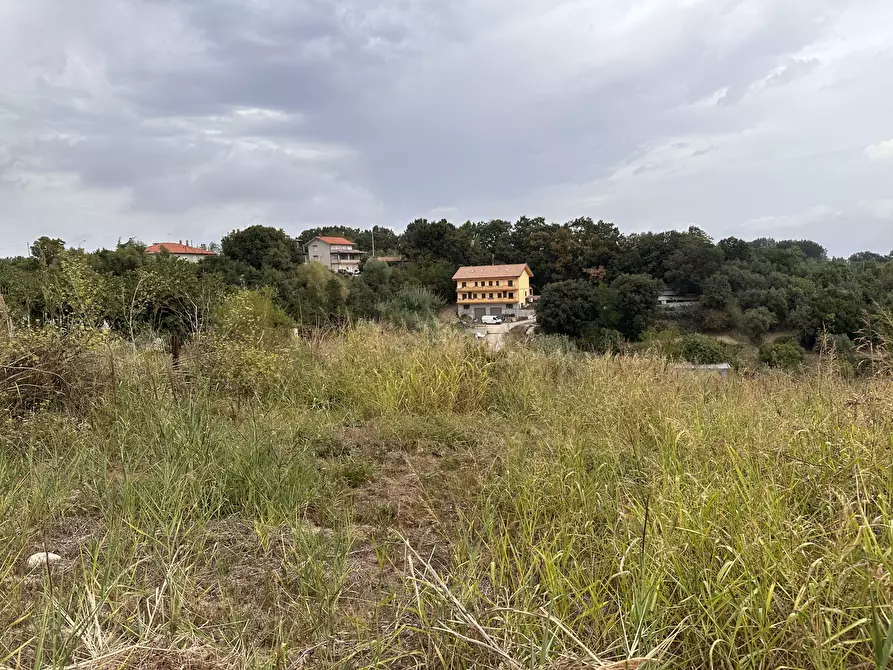 Immagine 3 di Terreno edificabile in vendita  a Borgia
