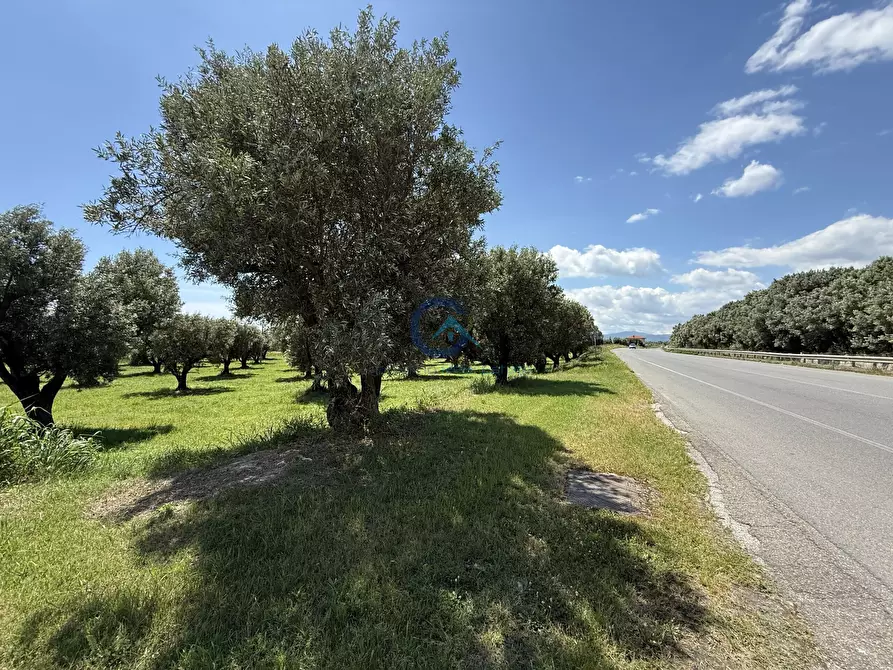 Immagine 7 di Terreno industriale in vendita  in Via Bellino 67 a Catanzaro