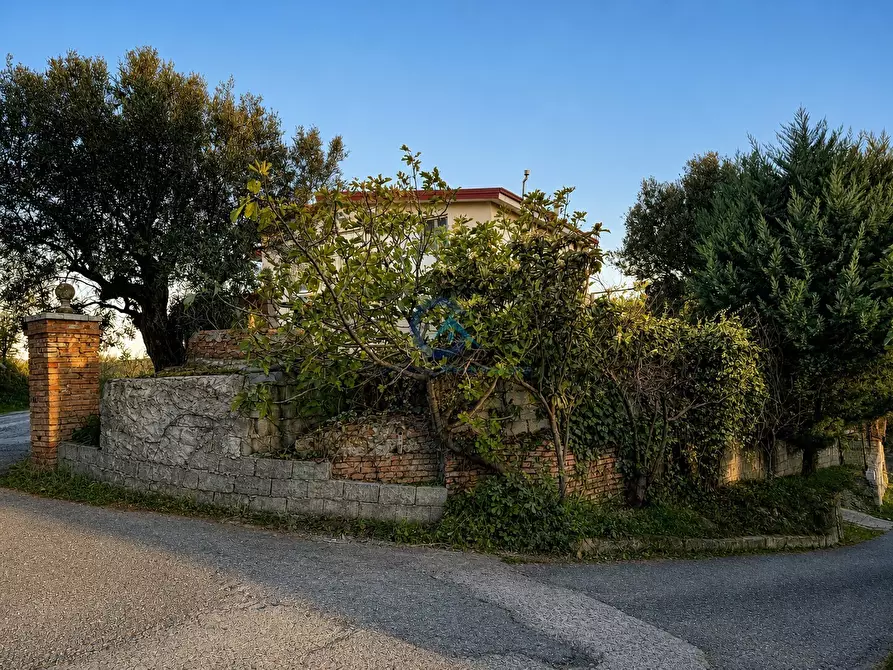 Immagine 8 di Appartamento in vendita  a Catanzaro