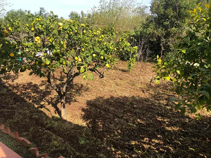 Immagine 62 di Casa indipendente in vendita  in VIA ISOLE DELLA  CALEDONIA a Siracusa