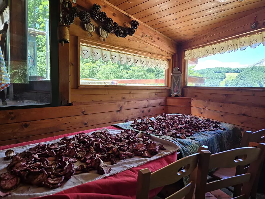 Immagine 42 di Bilocale in vendita  in Via dei Cerri 19 a Rieti