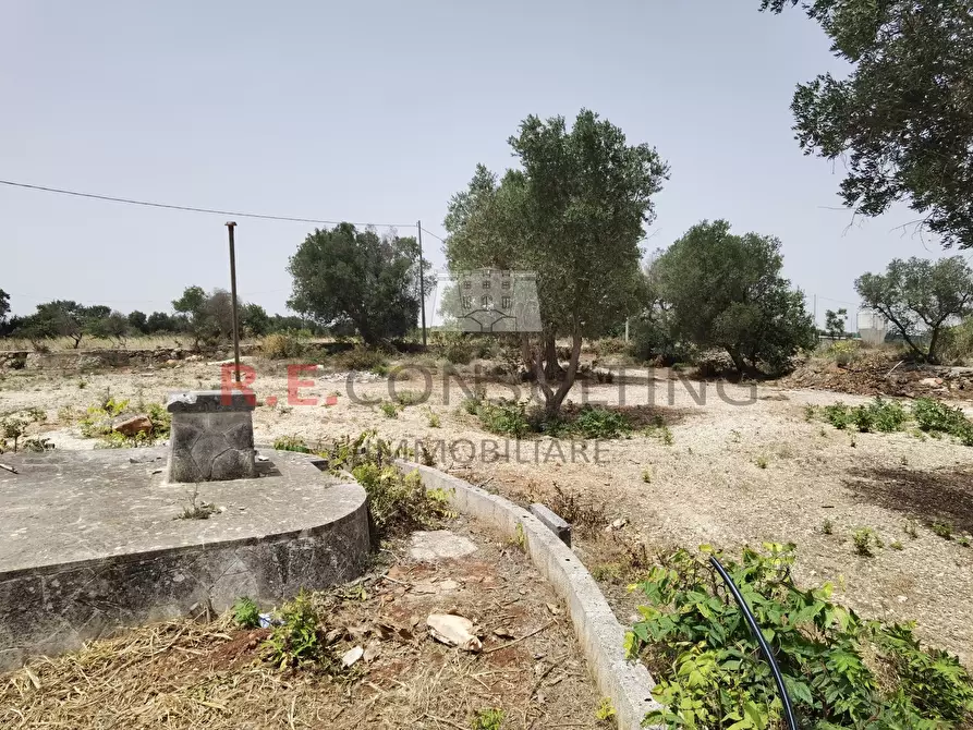 Immagine 25 di Rustico / casale in vendita  in Strada Provinciale 65 52 a Martina Franca