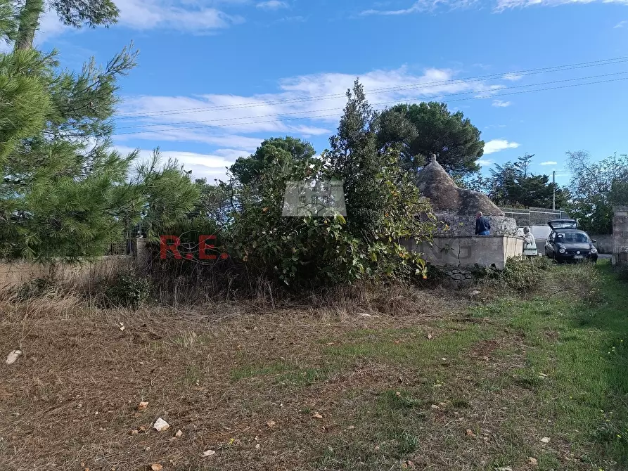 Immagine 1 di Baita in vendita  in contrada cavalcatore a Martina Franca