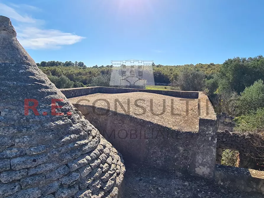 Immagine 21 di Rustico / casale in vendita  a Ceglie Messapico