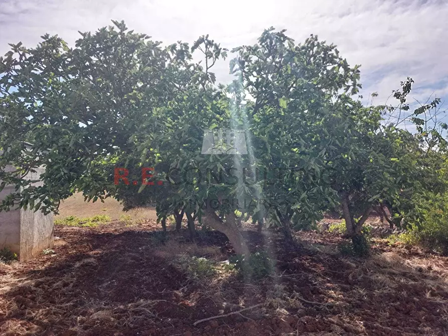 Immagine 10 di Casa indipendente in vendita  in strada sacramento a Ceglie Messapico
