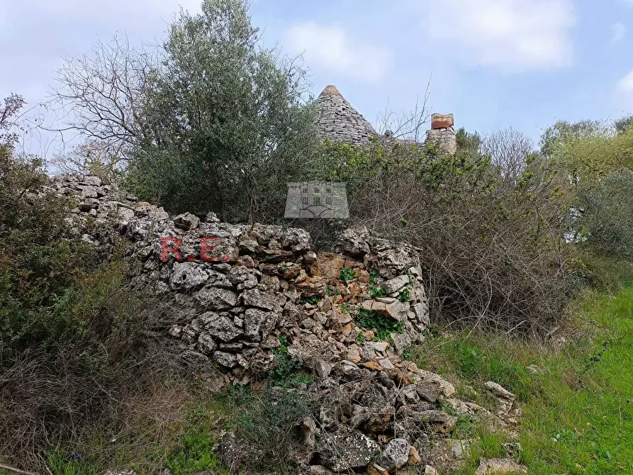 Immagine 6 di Baita in vendita  in strada provinciale 23 a Martina Franca