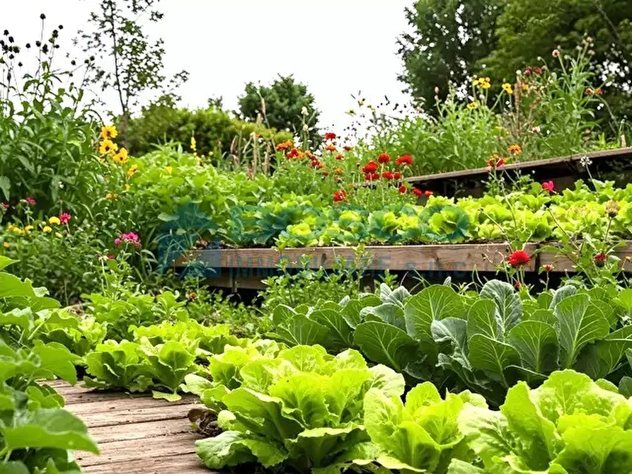 Immagine 33 di Casa indipendente in vendita  in Via II Giugno 46 a Follo