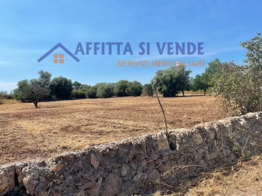 Immagine 39 di Terreno agricolo in vendita  in Traversa Maeggio di Sopra a Siracusa
