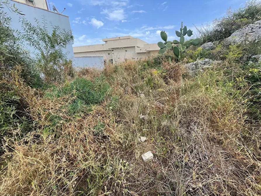Immagine 4 di Terreno agricolo in vendita  in SOLARINO a Solarino