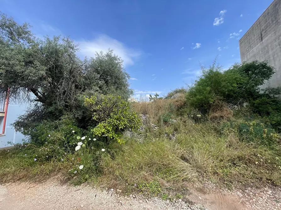 Immagine 2 di Terreno agricolo in vendita  in SOLARINO a Solarino